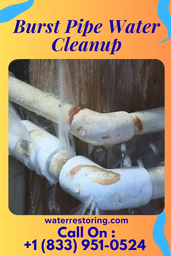 Burst Pipe Water Cleanup in Kingfisher, OK