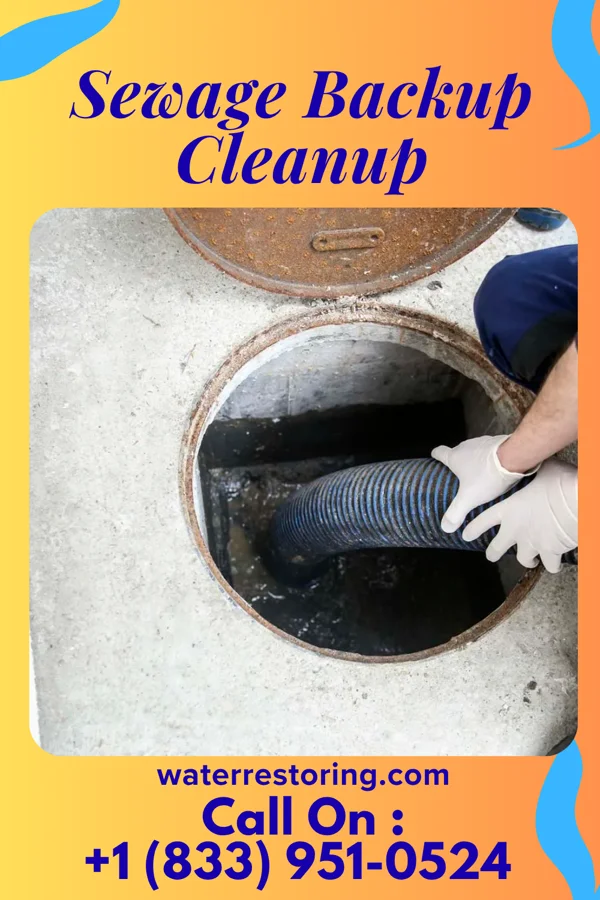 Sewage Backup Cleanup in Kingfisher, OK